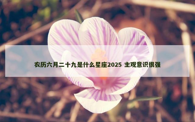 农历六月二十九是什么星座2025 主观意识很强