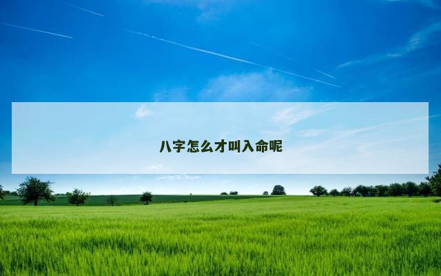 八字怎么才叫入命呢