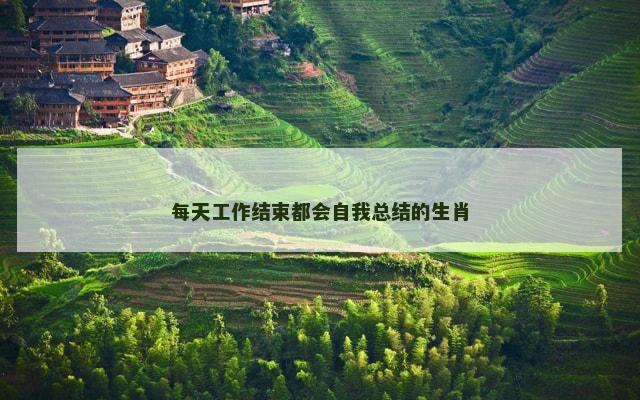 每天工作结束都会自我总结的生肖