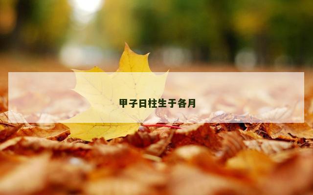 甲子日柱生于各月