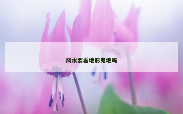 风水要看地形鬼地吗