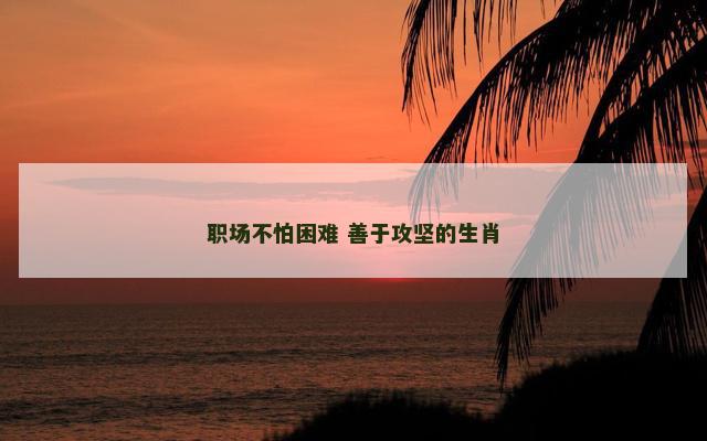 职场不怕困难 善于攻坚的生肖