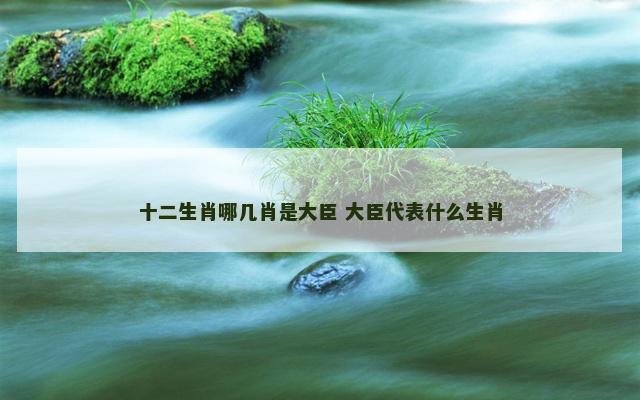 十二生肖哪几肖是大臣 大臣代表什么生肖