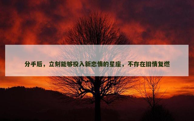 分手后，立刻能够投入新恋情的星座，不存在旧情复燃