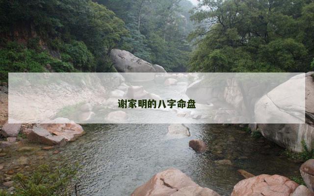 谢家明的八字命盘