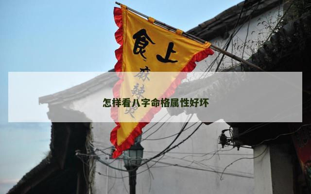 怎样看八字命格属性好坏