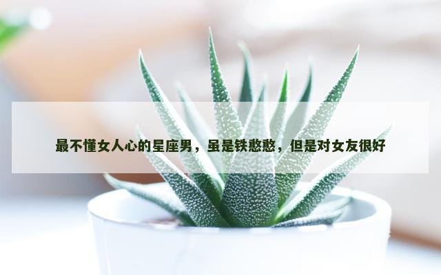 最不懂女人心的星座男，虽是铁憨憨，但是对女友很好