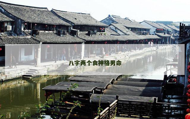 八字两个食神格男命