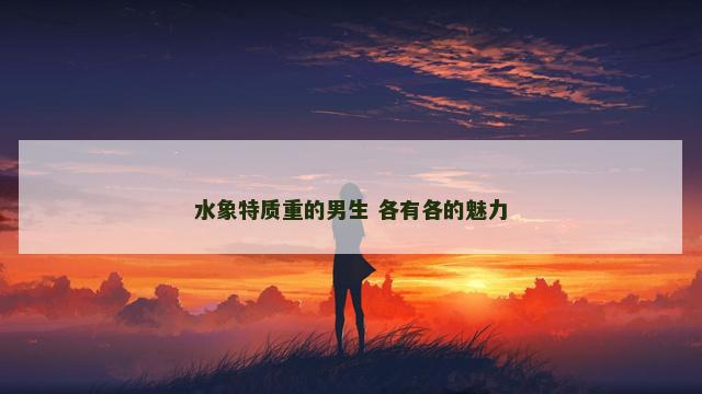 水象特质重的男生 各有各的魅力