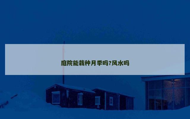 庭院能栽种月季吗?风水吗