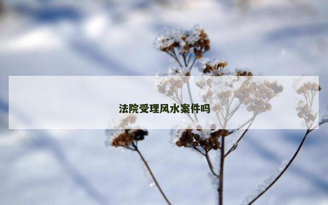 法院受理风水案件吗