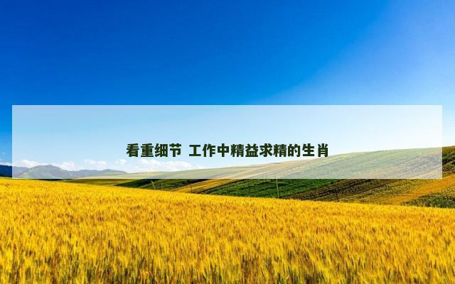 看重细节 工作中精益求精的生肖
