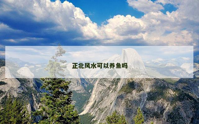 正北风水可以养鱼吗