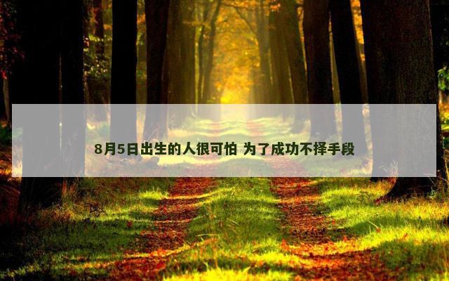 8月5日出生的人很可怕 为了成功不择手段
