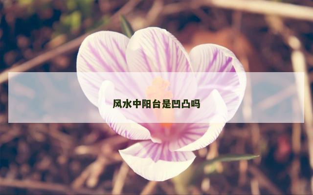 风水中阳台是凹凸吗