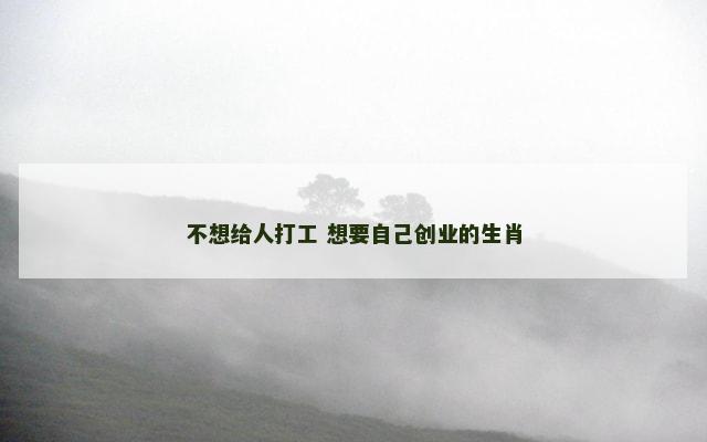 不想给人打工 想要自己创业的生肖
