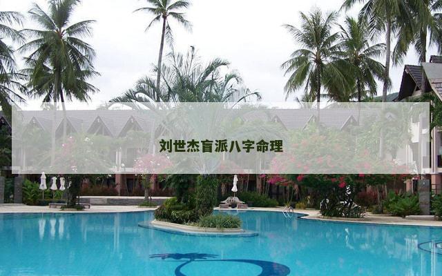 刘世杰盲派八字命理