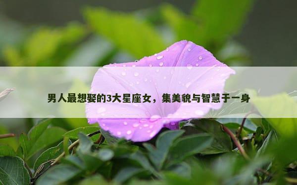 男人最想娶的3大星座女，集美貌与智慧于一身