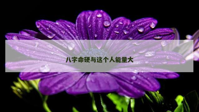八字命硬与这个人能量大