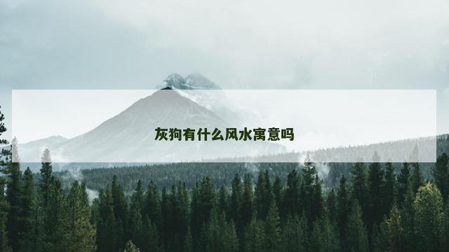 灰狗有什么风水寓意吗