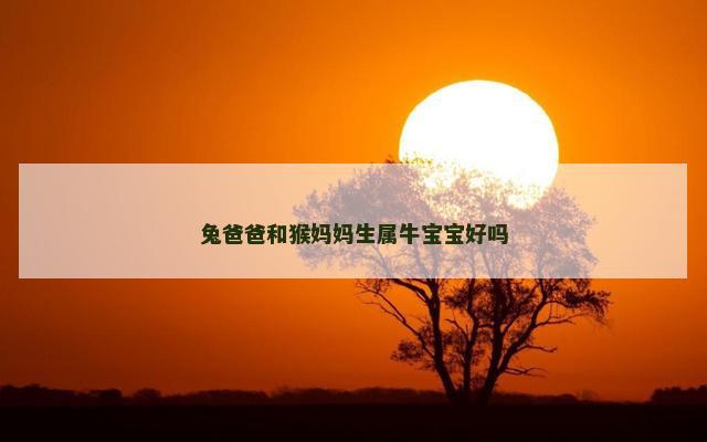 兔爸爸和猴妈妈生属牛宝宝好吗