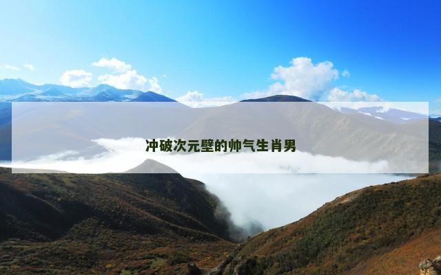 冲破次元壁的帅气生肖男