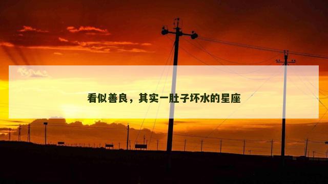 看似善良，其实一肚子坏水的星座