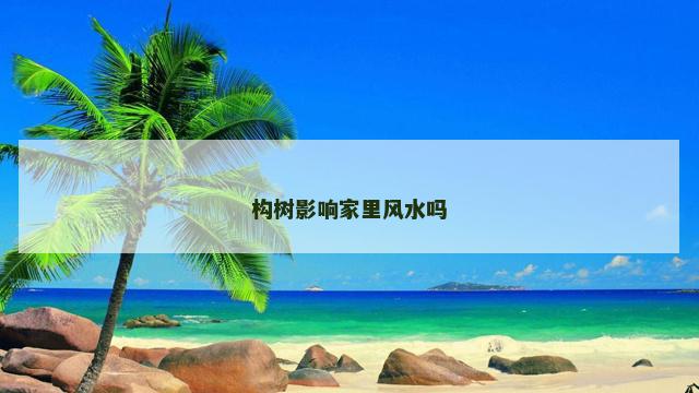 构树影响家里风水吗