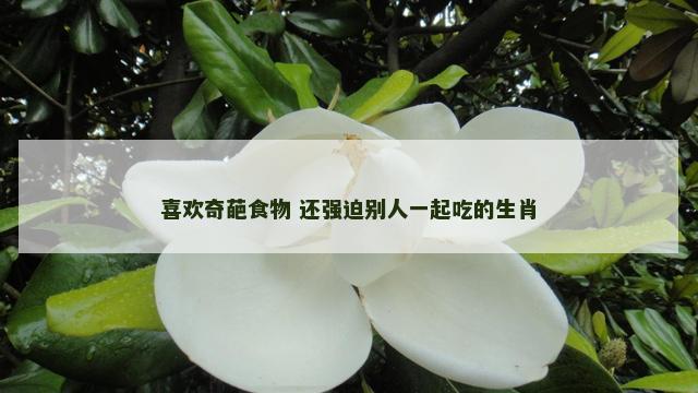 喜欢奇葩食物 还强迫别人一起吃的生肖