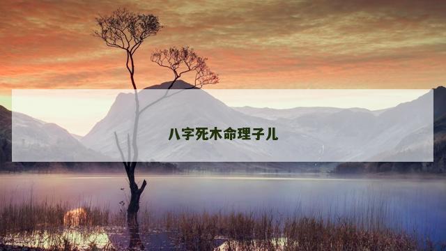 八字死木命理子儿