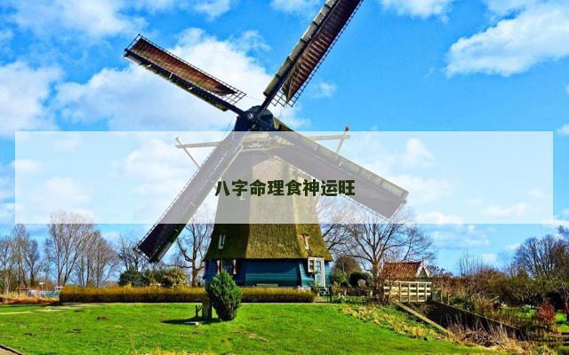 八字命理食神运旺