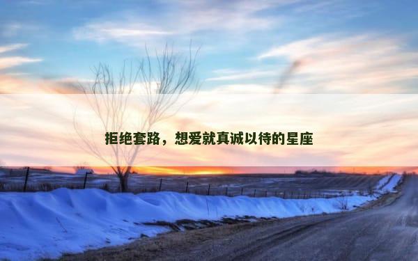 拒绝套路，想爱就真诚以待的星座