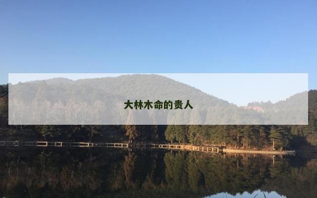 大林木命的贵人