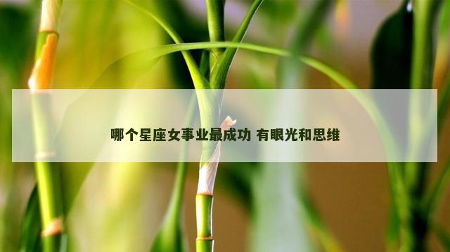 哪个星座女事业最成功 有眼光和思维