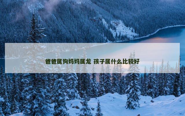 爸爸属狗妈妈属龙 孩子属什么比较好