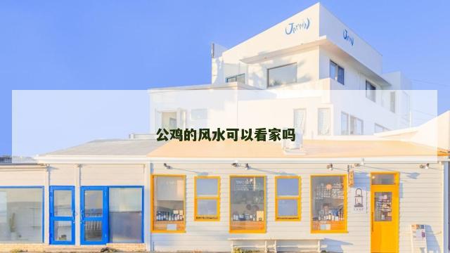 公鸡的风水可以看家吗