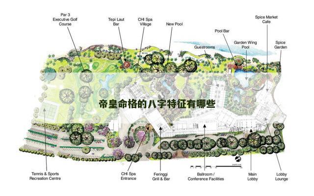 帝皇命格的八字特征有哪些