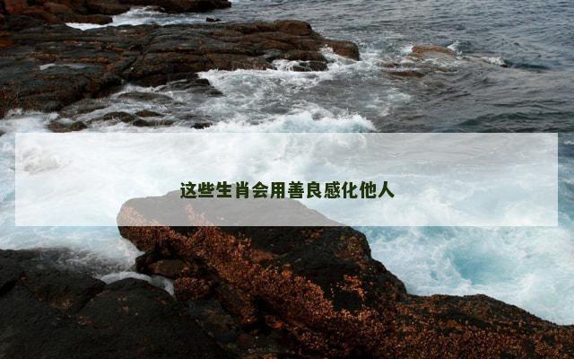 这些生肖会用善良感化他人