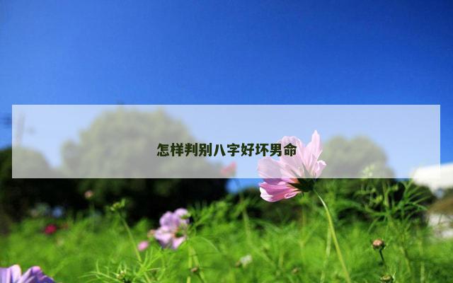 怎样判别八字好坏男命
