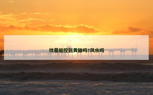 坟墓能挖到黄鳝吗?风水吗