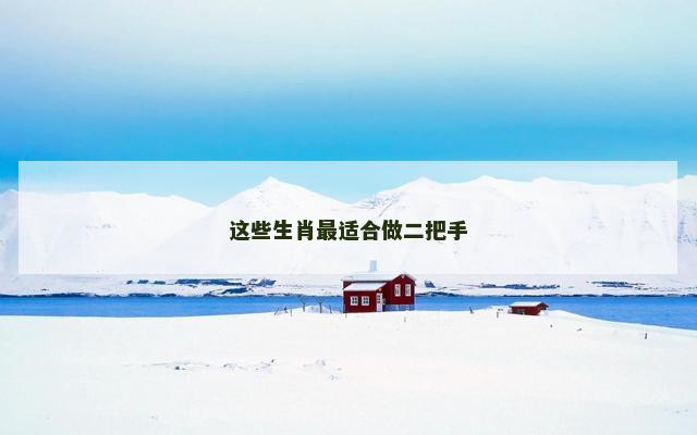 这些生肖最适合做二把手