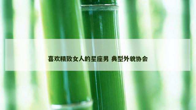 喜欢精致女人的星座男 典型外貌协会