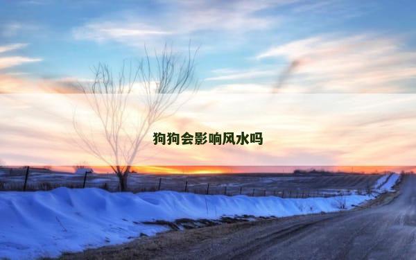 狗狗会影响风水吗