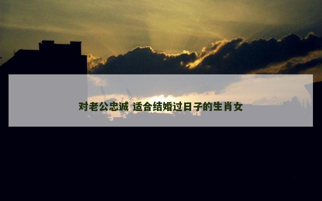 对老公忠诚 适合结婚过日子的生肖女