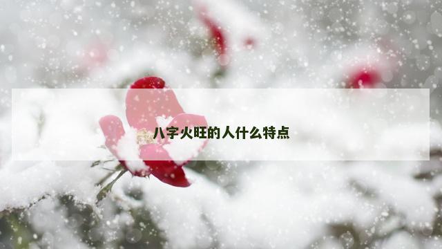 八字火旺的人什么特点