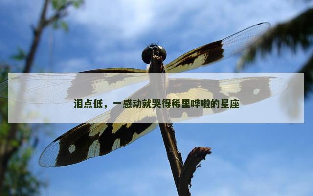 泪点低，一感动就哭得稀里哗啦的星座