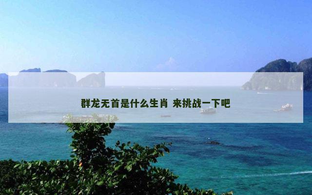 群龙无首是什么生肖 来挑战一下吧