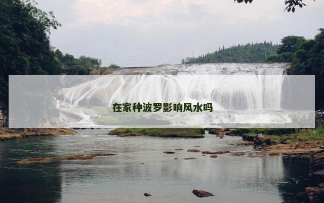 在家种波罗影响风水吗