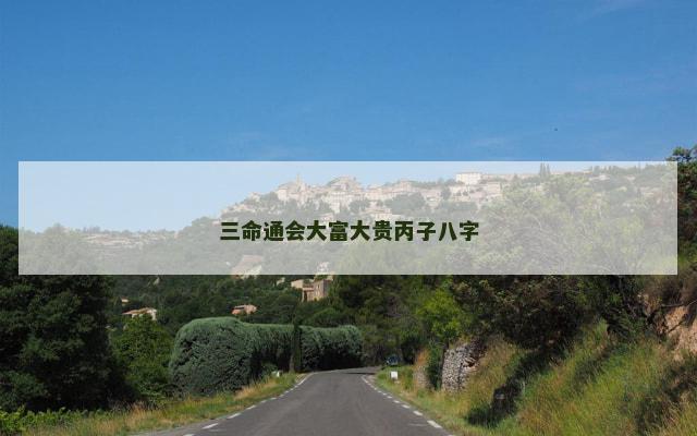 三命通会大富大贵丙子八字