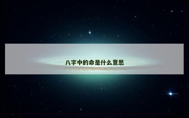 八字中的命是什么意思